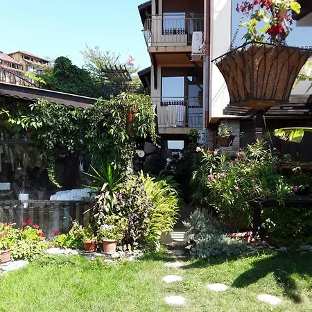 Sunny View 2